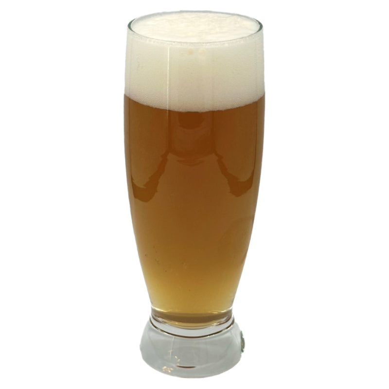 Flat Earth Pale Ale